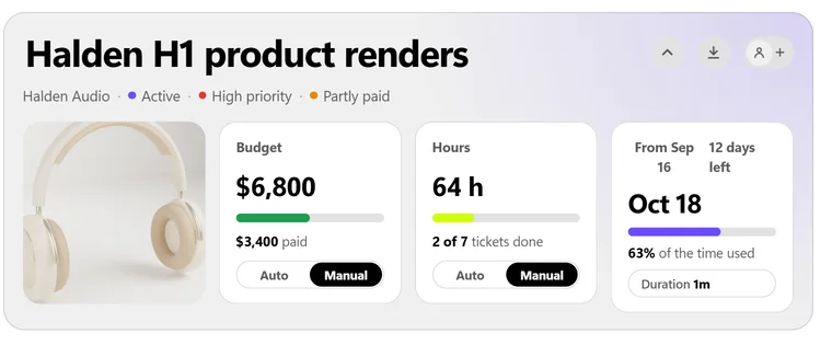 A project head with budget, hours and deadline